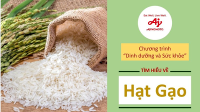 Video giáo dục dinh dưỡng: Vai trò của nguồn tinh bột dồi dào có trong Hạt Gạo