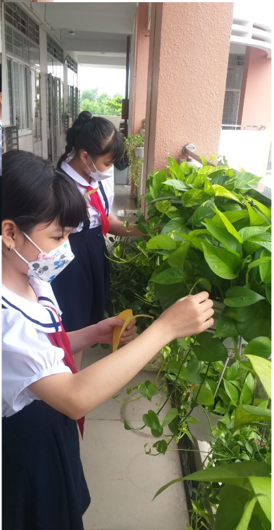 Ngày hội  "Em yêu môi trường xanh"