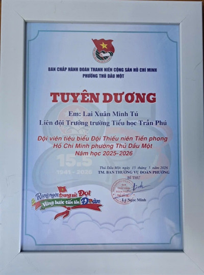 TUYÊN DƯƠNG ĐỘI VIÊN TIÊU BIỂU NĂM HỌC 2025 – 2026